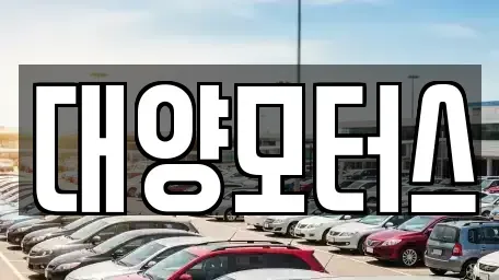 광주 동구 동명동 중고차 전문 대양모터스