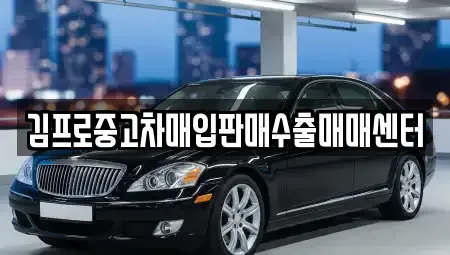 광주 동구 동명동 중고차매매 전문 김프로중고차매입판매수출매매센터