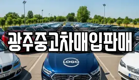 광주 동구 동명동 중고차매입 전문 광주중고차매입판매