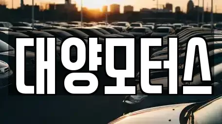 광주 동구 서석동 중고차 전문 대양모터스