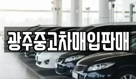 광주 동구 황금동 중고차 전문 광주중고차매입판매