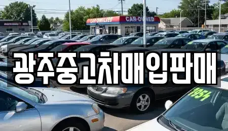 광주 북구 신용동 중고차 전문 광주중고차매입판매