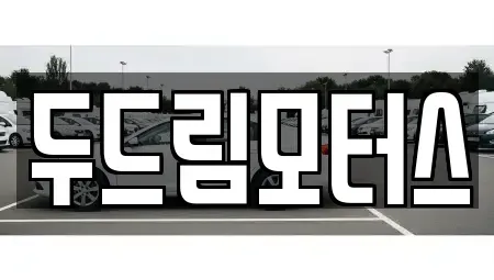 광주 중고차 전문 두드림모터스