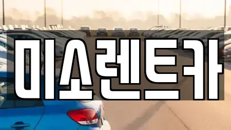 광주광역시 광산구 복룡동 렌트카 전문 미소렌트카
