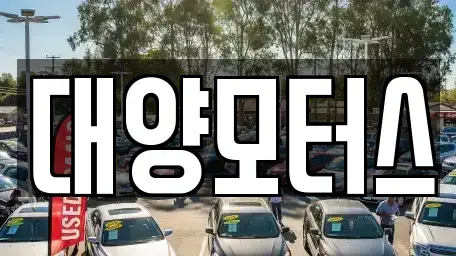 광주광역시 광산구 복룡동 중고차매매 전문 대양모터스