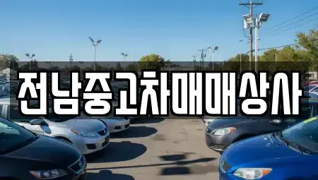 광주광역시 광산구 선동 중고차 전문 전남중고차매매상사