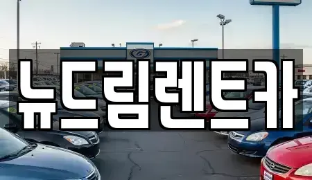 광주광역시 광산구 수완동 렌트카 전문 뉴드림렌트카