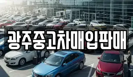 광주광역시 광산구 수완동 중고차 전문 광주중고차매입판매