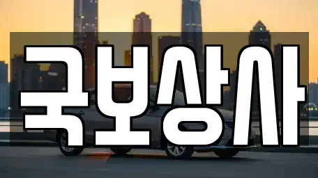 광주광역시 광산구 수완동 중고차 전문 국보상사