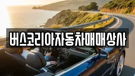 광주광역시 광산구 수완동 중고차 전문 버스코리아자동차매매상사