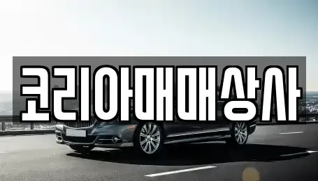 광주광역시 광산구 수완동 중고차 전문 코리아매매상사