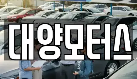 광주광역시 광산구 양동 중고차 전문 대양모터스