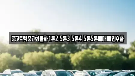 광주광역시 광산구 양동 중고차 전문 중고트럭중고화물차1톤2.5톤3.5톤4.5톤5톤매매매입수출
