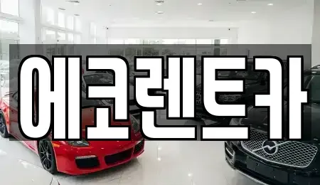 광주광역시 남구 양림동 렌트카,단기렌트카,장기렌트카,중고차,중고차매매,중고차매입