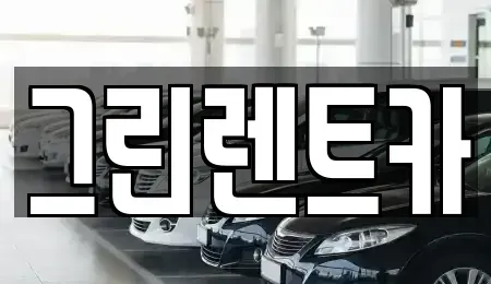 광주광역시 남구 양림동 장기렌트카 전문 그린렌트카