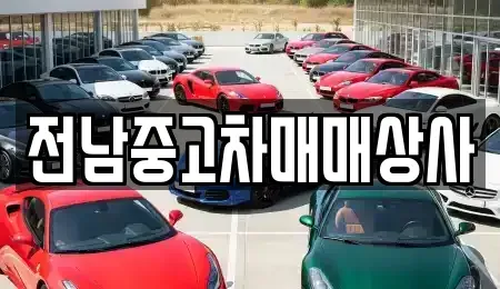 광주광역시 남구 양림동 중고차 전문 전남중고차매매상사
