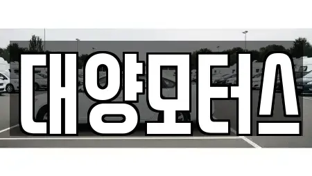 광주광역시 남구 양림동 중고차매매 전문 대양모터스