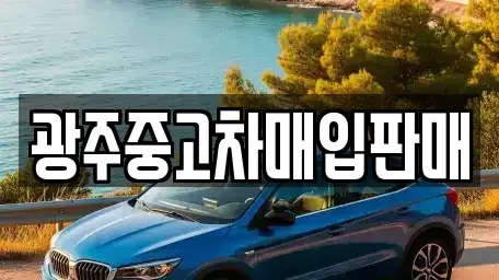 광주광역시 동구 금동 중고차매입 전문 광주중고차매입판매