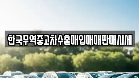 광주광역시 북구 삼각동 중고차 전문 한국무역중고차수출매입매매판매시세