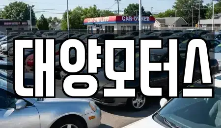 광주광역시 북구 수곡동 중고차 전문 대양모터스