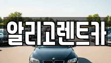 광주광역시 서구 금호동 단기렌트카 전문 알리고렌트카