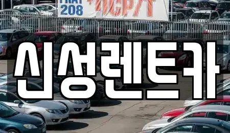 광주광역시 서구 금호동 렌트카 전문 신성렌트카