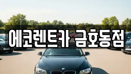 광주광역시 서구 금호동 렌트카 전문 에코렌트카 금호동점