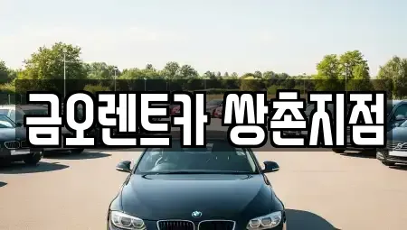 광주광역시 서구 금호동 장기렌트카 전문 금오렌트카 쌍촌지점