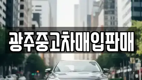 광주광역시 서구 금호동 중고차 전문 광주중고차매입판매