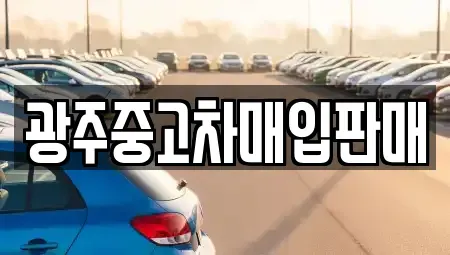 광주광역시 서구 금호동 중고차매매 전문 광주중고차매입판매