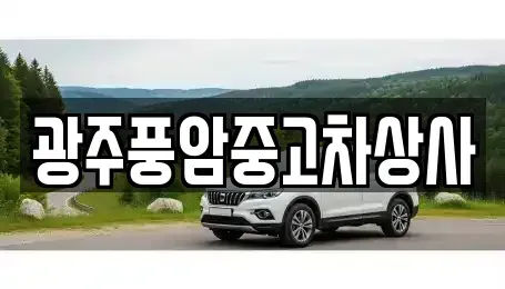 광주광역시 서구 금호동 중고차매매 전문 광주풍암중고차상사