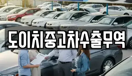 광주광역시 서구 금호동 중고차매매 전문 도이치중고차수출무역