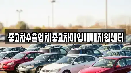 광주광역시 서구 금호동 중고차매입 전문 중고차수출업체중고차매입매매지원센터