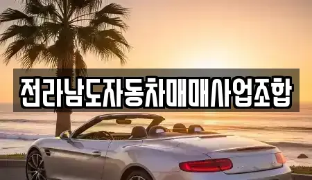 광주광역시 서구 내방동 중고차매매 전문 전라남도자동차매매사업조합