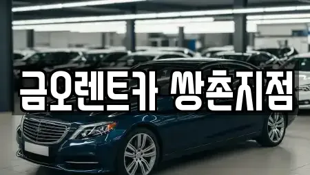 광주광역시 서구 마륵동 장기렌트카 전문 금오렌트카 쌍촌지점
