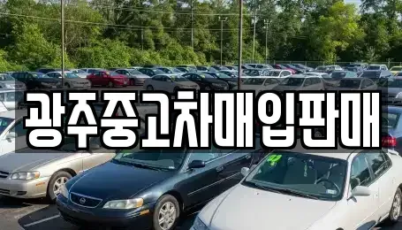 광주광역시 서구 마륵동 중고차매입 전문 광주중고차매입판매