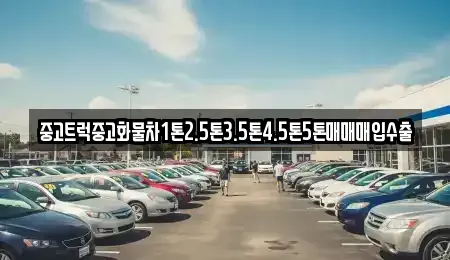 광주광역시 서구 마륵동 중고차매입 전문 중고트럭중고화물차1톤2.5톤3.5톤4.5톤5톤매매매입수출
