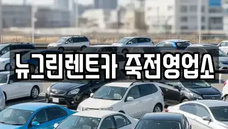 대구 달서구 감삼동 렌트카 전문 뉴그린렌트카 죽전영업소