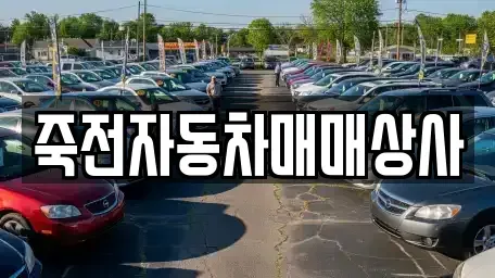 대구 달서구 감삼동 중고차 전문 죽전자동차매매상사