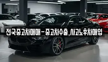 대구 달서구 파호동 중고차 전문 전국중고차매매-중고차수출,사고노후차매입