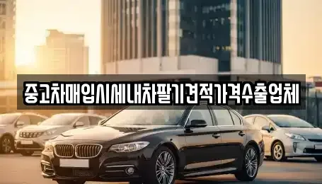 대구 달서구 파호동 중고차 전문 중고차매입시세내차팔기견적가격수출업체