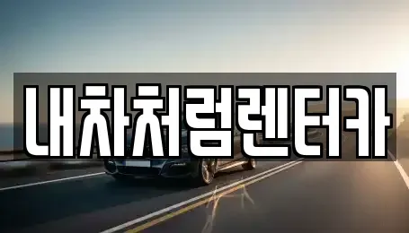 대구 달성군 논공읍 렌트카 전문 내차처럼렌터카