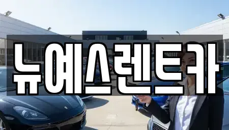 대구 달성군 논공읍 렌트카 전문 뉴예스렌트카