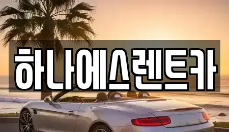 대구 달성군 논공읍 렌트카 전문 하나에스렌트카