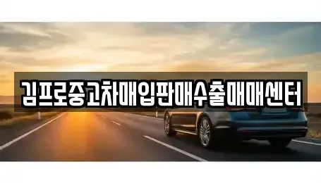 대구 달성군 논공읍 중고차매입 전문 김프로중고차매입판매수출매매센터