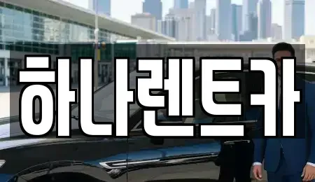 대구 달성군 단기렌트카 전문 하나렌트카