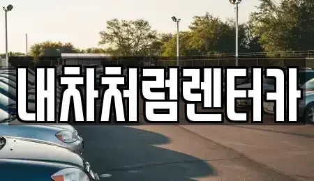 대구 달성군 렌트카 전문 내차처럼렌터카
