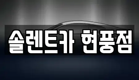 대구 달성군 렌트카 전문 솔렌트카 현풍점