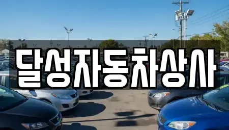 대구 달성군 중고차매매,단기렌트카,중고차매입,장기렌트카,중고차,렌트카