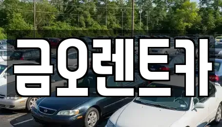 대구 북구 금호동 렌트카 전문 금오렌트카